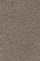 Ковролин AW Stainguard Harvest 31 фото 1 | FLOORDEALER